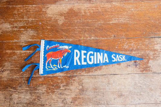 Regina Saskachewan Blue Felt Pennant Vintage Canada Wall Decor - Eagle's Eye Finds