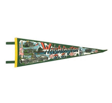 Load image into Gallery viewer, Washington DC Green Felt Pennant Vintage Wall Decor - Eagle&#39;s Eye Finds

