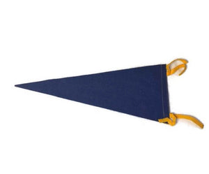 Stephens Foster Memorial Florida Blue Felt Pennant Vintage Wall Decor - Eagle's Eye Finds