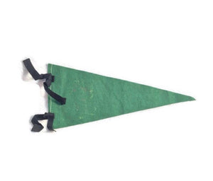 Calgary Canada Green Felt Pennant Vintage Travel Wall Decor - Eagle's Eye Finds