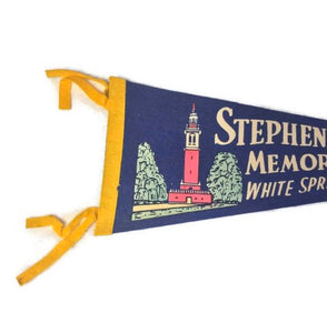 Stephens Foster Memorial Florida Blue Felt Pennant Vintage Wall Decor - Eagle's Eye Finds