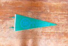 Load image into Gallery viewer, Tulane University Felt Pennant Vintage College Wall Decor - Eagle&#39;s Eye Finds
