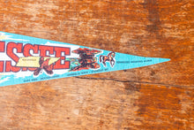Load image into Gallery viewer, Tennessee State Retro Felt Pennant Vintage TN Wall Decor - Eagle&#39;s Eye Finds
