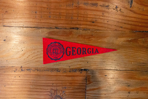 University of Georgia Mini Felt Pennant Vintage College Decor - Eagle's Eye Finds