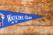 Load image into Gallery viewer, Watkins Glen State Park Blue New York Felt Pennant Vintage Wall Decor - Eagle&#39;s Eye Finds
