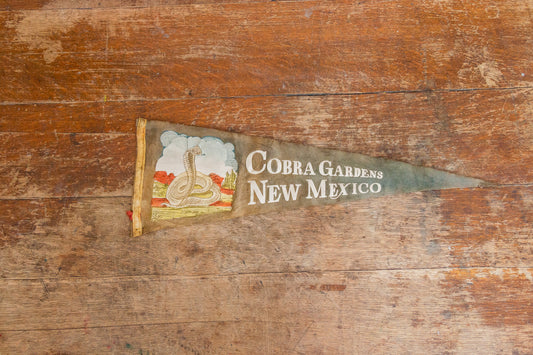 Cobra Gardens New Mexico Gray Felt Pennant Vintage Snake Wall Hanging Decor - Eagle's Eye Finds