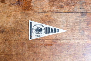 Idaho State Pennant Vintage Mini White Wall Decor - Eagle's Eye Finds