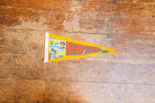 Load image into Gallery viewer, Nebraska State Orange Felt Pennant Vintage - Eagle&#39;s Eye Finds
