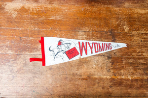 Wyoming State White Felt Pennant Vintage WY Wall Decor - Eagle's Eye Finds