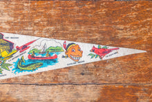 Load image into Gallery viewer, Ohio State Retro Felt Pennant Vintage OH Wall Decor - Eagle&#39;s Eye Finds
