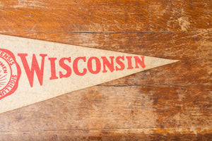 University of Wisconsin Felt Pennant Vintage College Wall Decor - Eagle's Eye Finds