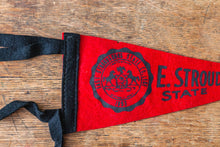 Load image into Gallery viewer, East Stroudsburg University Mini Felt Pennant Vintage Pennsylvania College Decor - Eagle&#39;s Eye Finds
