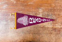 Load image into Gallery viewer, Reading PA Pagoda Maroon Felt Pennant Large Vintage Pennsylvania Wall Decor - Eagle&#39;s Eye Finds
