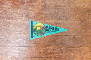 Capilano Bride Vancouver  BC Canada Felt Pennant Vintage Teal Wall Art Decor - Eagle's Eye Finds