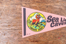 Load image into Gallery viewer, Sea Lion Caves Oregon Felt Pennant Vintage Pink OR Wall Decor - Eagle&#39;s Eye Finds
