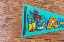 Load image into Gallery viewer, Idaho State Pennant Vintage Mini Teal Wall Decor - Eagle&#39;s Eye Finds
