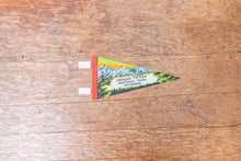 Load image into Gallery viewer, Grand Teton National Park Felt Pennant Vintage Mini Retro Wall Decor - Eagle&#39;s Eye Finds
