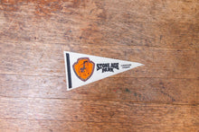 Load image into Gallery viewer, Stone Age Park Felt Pennant Vintage Retro Oregon Wall Decor - Eagle&#39;s Eye Finds
