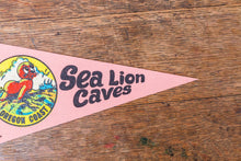 Load image into Gallery viewer, Sea Lion Caves Oregon Felt Pennant Vintage Pink OR Wall Decor - Eagle&#39;s Eye Finds
