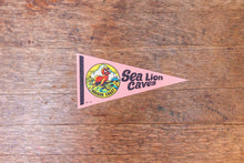 Load image into Gallery viewer, Sea Lion Caves Oregon Felt Pennant Vintage Pink OR Wall Decor - Eagle&#39;s Eye Finds
