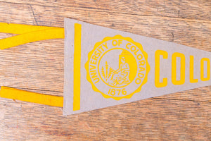 University of Colorado Silver Felt Pennant Vintage Mini College Wall Decor - Eagle's Eye Finds
