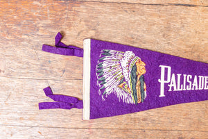Palisades Park NJ Felt Pennant Vintage Purple New Jersey Native American Wall Decor - Eagle's Eye Finds