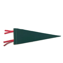 Load image into Gallery viewer, St. Felicien Zoo Quebec Green Felt Pennant - Eagle&#39;s Eye Finds

