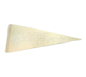 Chicago Fire World Football League Vintage Pennant - Eagle's Eye Finds