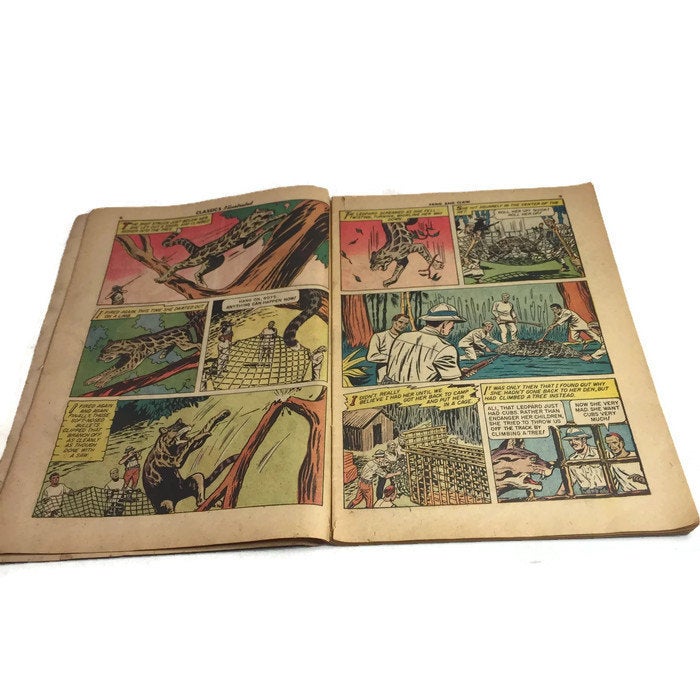 Classics Illustrated Fang and Claw No. 123 Comic Book Vintage - Eagle's Eye Finds